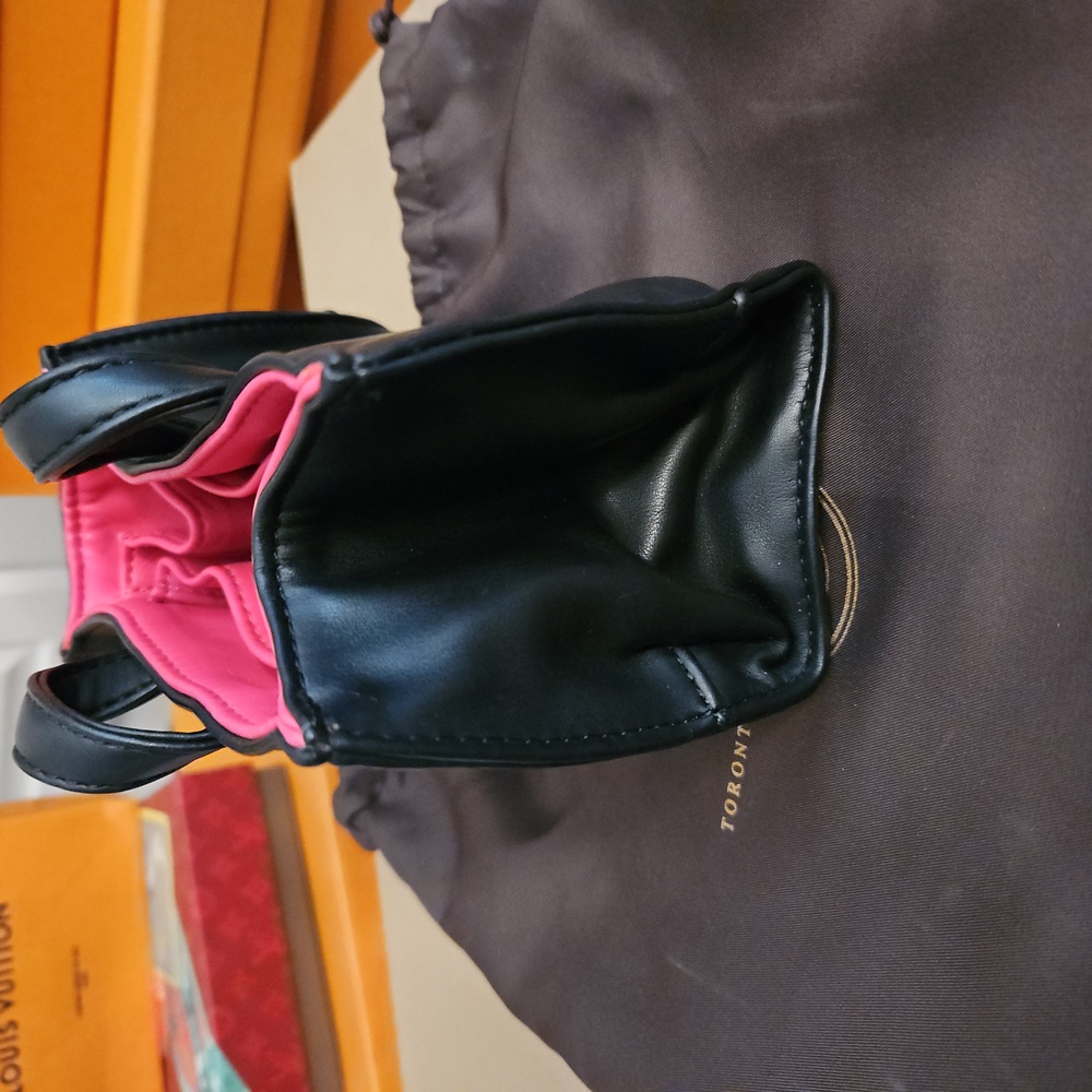 Small Bag/Insert - Picture 3 of 9